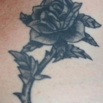 Rose tat