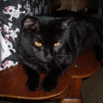 LadyLisa(Dakota)RIP Momma will miss you always.