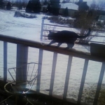 Ewwww! What'd you do to my yard mom? What IS this stuff? It's wet!