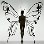 butterfly100x100