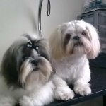 Ty and Alf
