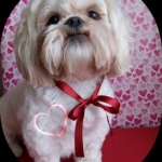 Alfie