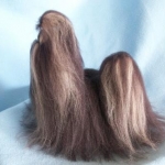 felted shih tzu 2