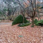 Park winter