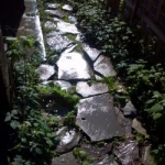 the walkway i created from broken stones i found behind my house.