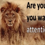 Attention
