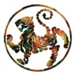 shotokan tiger   tora no maki by aylusarn
