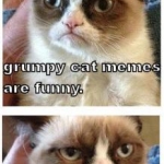 Grumpy Cat (3)