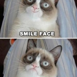 Grumpy Cat (4)