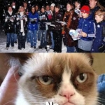Grumpy Cat (6)