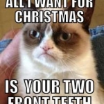 Grumpy Cat (7)
