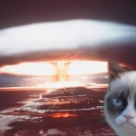 Grumpy Cat (8)