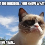 Grumpy Cat (10)