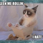 Grumpy Cat (12)
