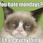 Grumpy Cat (13)