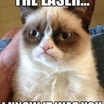 Grumpy Cat (14)