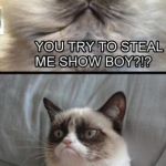 Grumpy Cat (16)