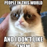 Grumpy Cat (19)