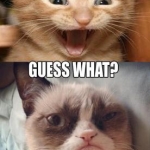 Grumpy Cat (22)