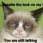 Grumpy Cat (24)