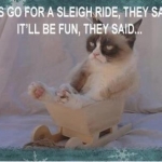 Grumpy Cat (25)