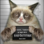 Grumpy Cat (26)