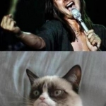 Grumpy Cat (28)