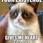 Grumpy Cat (29)