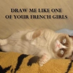 Grumpy Cat (30)