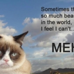 Grumpy Cat (32)