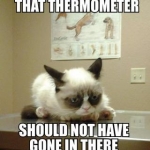 Grumpy Cat (33)