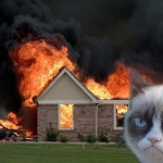 Grumpy Cat (34)