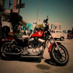 My Harley Sportster at Venice Beach, CA. 5 minutes from my apt.