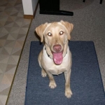 Lucy