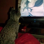 6/13/10 - Bubbles likes to watch movies with me. =]