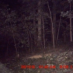 2nd right after ghost...left hand corner caught sometin