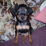 Madison Belle (Madi) the newest member of the family.