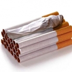 anti smoking 740056