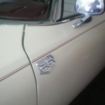 88 Donk