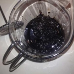 The first batch of NET sludge to get filtered--a Santa Damiana Robusto, loaded into the coffee press for initial straining.