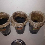 Changed my straining method from a coffee filter in a strainer, to a coffee filter suspended in a pint glass, held in place with rubber bands...