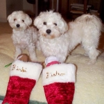 First Christmas