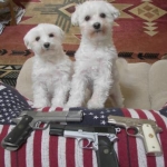 Puppies and Pistols