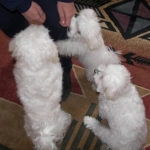 With Cousin Daisy (center)