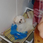 sunny in hammocksmall