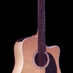 Takamine EF350MC