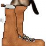 ferret boot insole