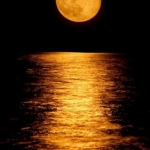 just a beautiful moon shot
