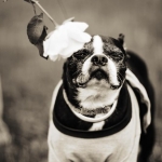 IMG 7726bw