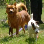 Sandy and Daisy